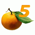 Orange5 Software