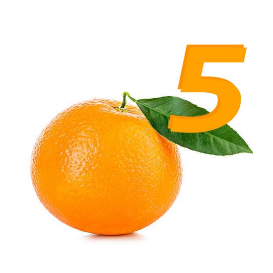 Buy Orange-5 License M08V (November 2015 )